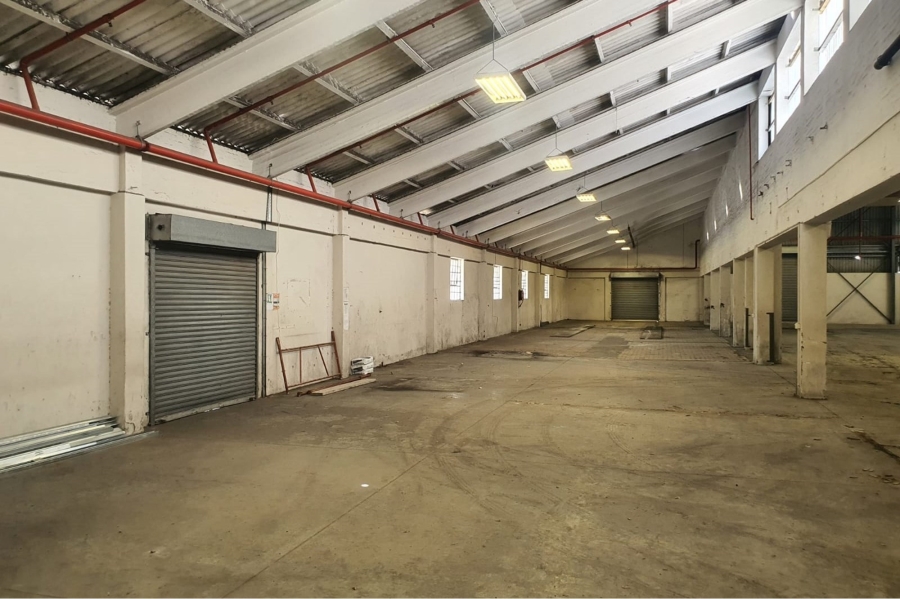 To Let commercial Property for Rent in Deal Party Eastern Cape